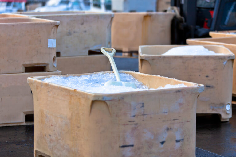Large Plastic Fishing Containers with Ice in Harbor